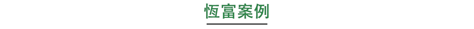 恆富案例