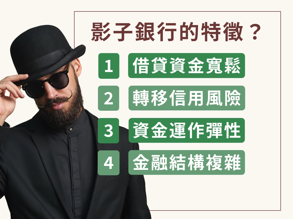 影子銀行的特徵