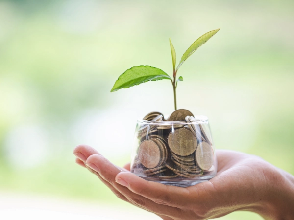 信貸投資底氣的基本盤